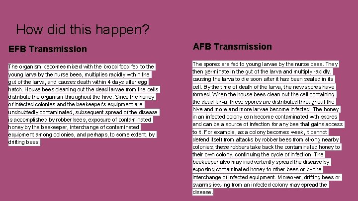 How did this happen? EFB Transmission The organism becomes mixed with the brood fed