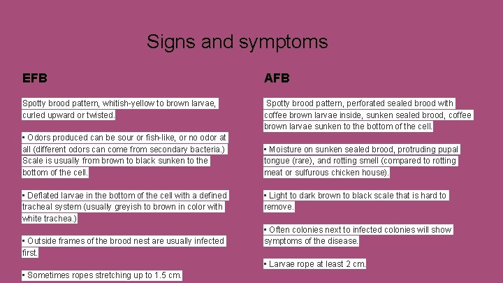 Signs and symptoms EFB AFB Spotty brood pattern, whitish-yellow to brown larvae, curled upward