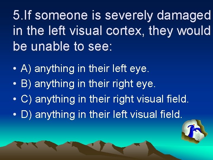 5. If someone is severely damaged in the left visual cortex, they would be