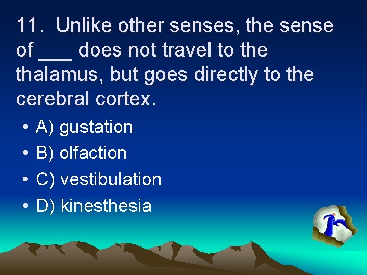 11. Unlike other senses, the sense of ___ does not travel to the thalamus,