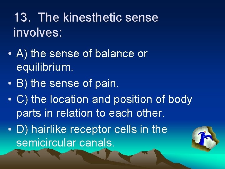 13. The kinesthetic sense involves: • A) the sense of balance or equilibrium. •