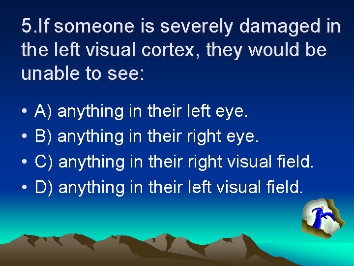 5. If someone is severely damaged in the left visual cortex, they would be