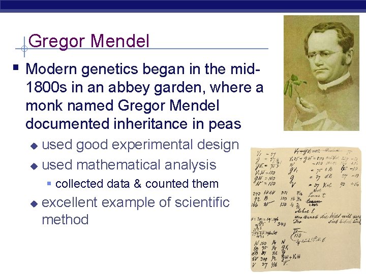 Gregor Mendel § Modern genetics began in the mid 1800 s in an abbey