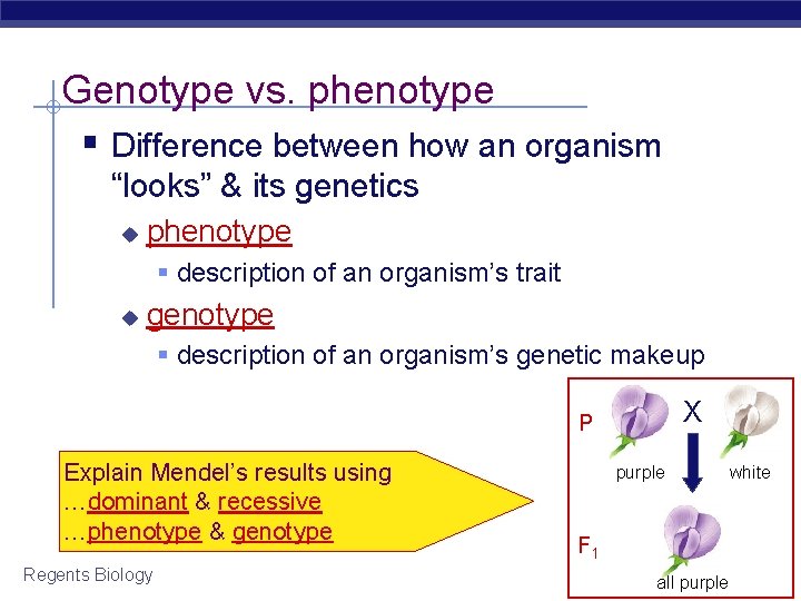 Genotype vs. phenotype § Difference between how an organism “looks” & its genetics u