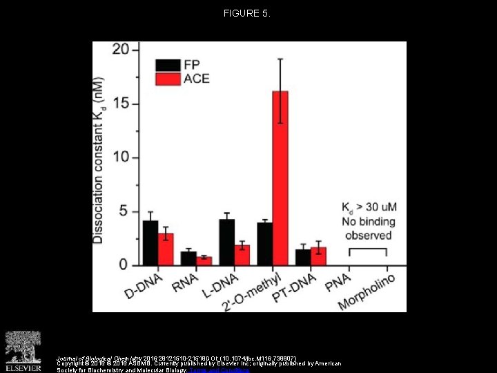 FIGURE 5. Journal of Biological Chemistry 2016 29121510 -21518 DOI: (10. 1074/jbc. M 116.