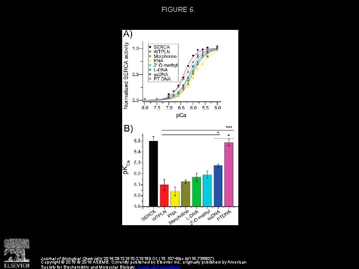 FIGURE 6. Journal of Biological Chemistry 2016 29121510 -21518 DOI: (10. 1074/jbc. M 116.