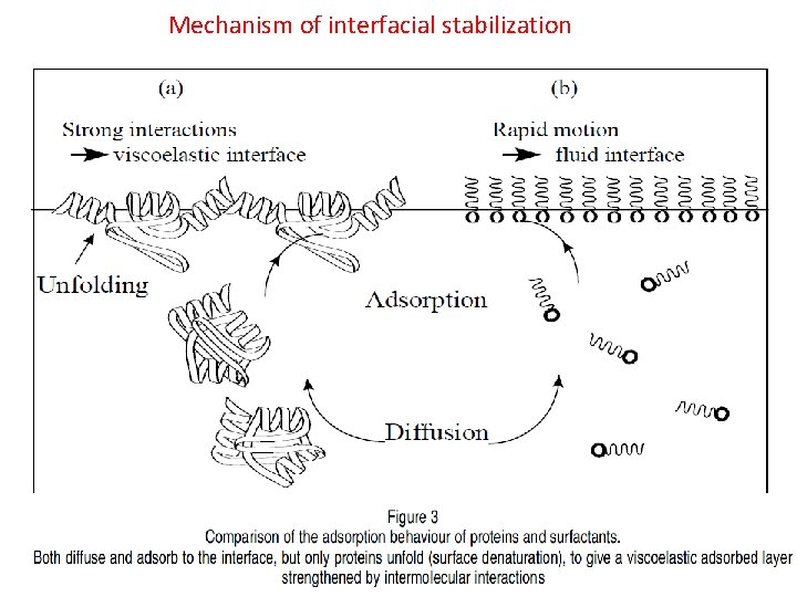 Mechanism of interfacial stabilization 