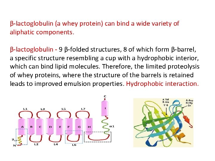 β-lactoglobulin (a whey protein) can bind a wide variety of aliphatic components. β-lactoglobulin -