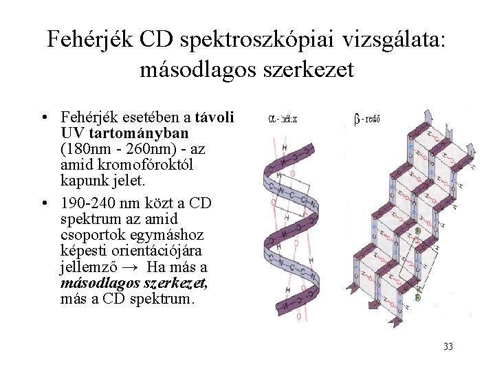 Fehérjék CD spektroszkópiai vizsgálata: másodlagos szerkezet • Fehérjék esetében a távoli UV tartományban (180