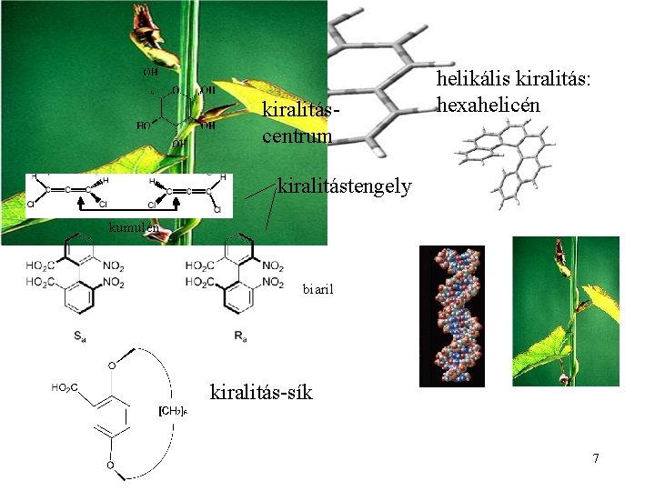 Kiralitás fajtái kiralitáscentrum helikális kiralitás: hexahelicén kiralitástengely kumulén biaril kiralitás-sík 7 