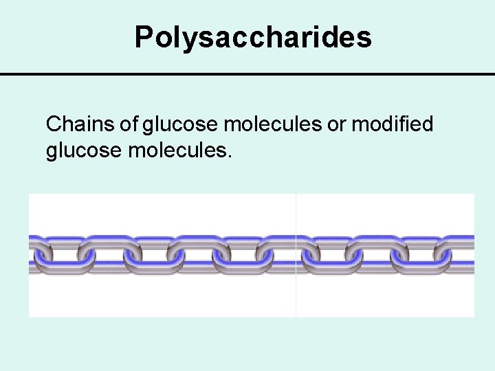 Polysaccharides Chains of glucose molecules or modified glucose molecules. 