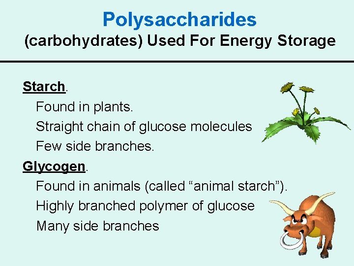 Polysaccharides (carbohydrates) Used For Energy Storage Starch. Found in plants. Straight chain of glucose