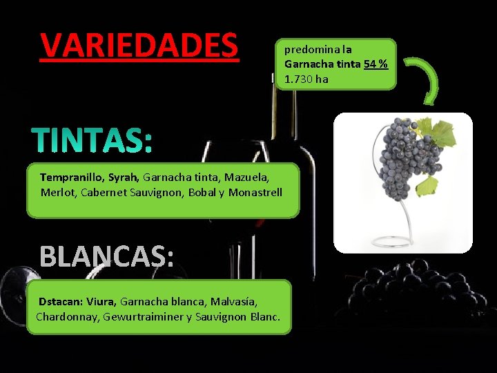 VARIEDADES 92% Tempranillo, Syrah, Garnacha tinta, Mazuela, Merlot, Cabernet Sauvignon, Bobal y Monastrell BLANCAS: VARIEDADES 92% Tempranillo, Syrah, Garnacha tinta, Mazuela, Merlot, Cabernet Sauvignon, Bobal y Monastrell BLANCAS: