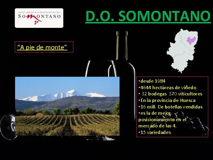 D. O. SOMONTANO “A pie de monte” • desde 1984 • 4644 hectáreas de