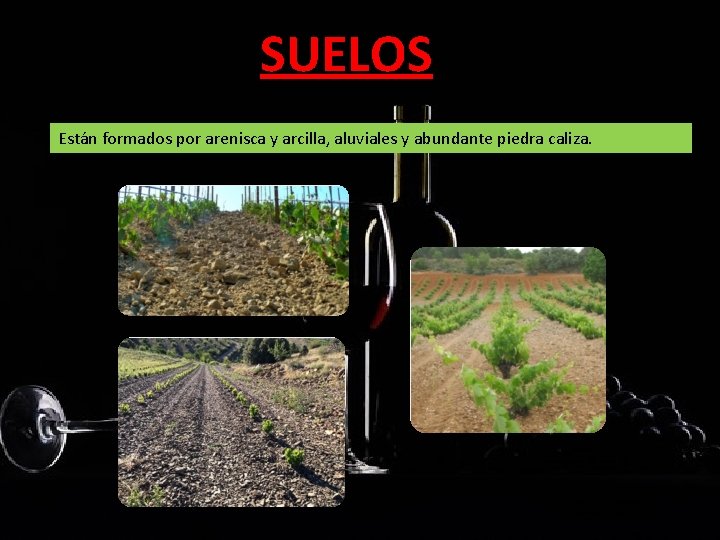 SUELOS Están formados por arenisca y arcilla, aluviales y abundante piedra caliza. SUELOS Están formados por arenisca y arcilla, aluviales y abundante piedra caliza.