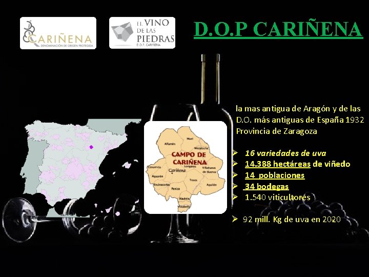 D. O. P CARIÑENA la mas antigua de Aragón y de las D. O.