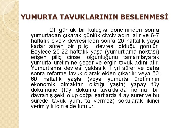 YUMURTA TAVUKLARININ BESLENMESİ 21 günlük bir kuluçka döneminden sonra yumurtadan çıkarak günlük civciv adını