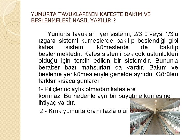 YUMURTA TAVUKLARININ KAFESTE BAKIM VE BESLENMELERİ NASIL YAPILIR ? Yumurta tavukları, yer sistemi, 2/3