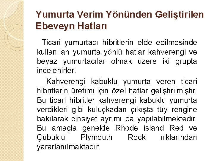 Yumurta Verim Yönünden Geliştirilen Ebeveyn Hatları Ticari yumurtacı hibritlerin elde edilmesinde kullanılan yumurta yönlü