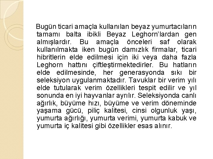 Bugün ticari amaçla kullanılan beyaz yumurtacıların tamamı balta ibikli Beyaz Leghorn’lardan gen almışlardır. Bu