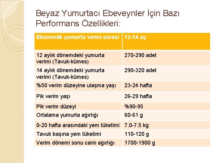 Beyaz Yumurtacı Ebeveynler İçin Bazı Performans Özellikleri: Ekonomik yumurta verim süresi 12 -14 ay