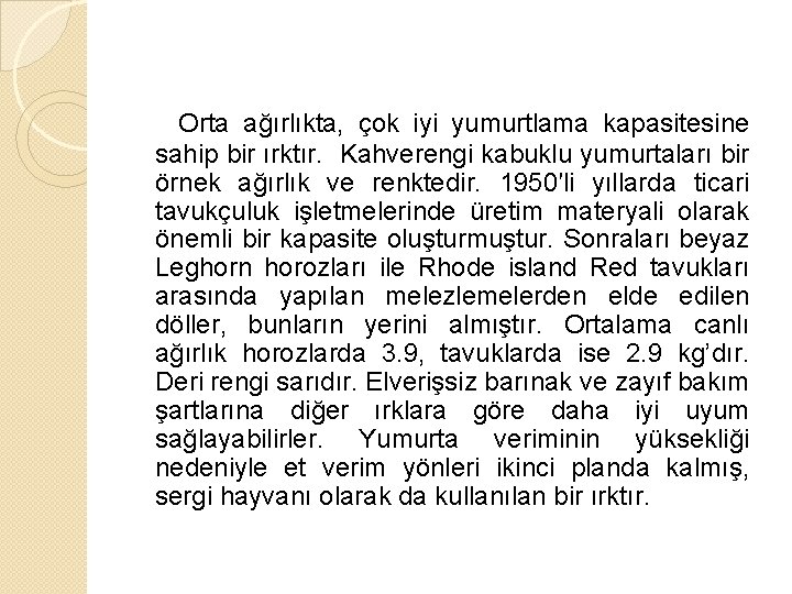 Orta ağırlıkta, çok iyi yumurtlama kapasitesine sahip bir ırktır. Kahverengi kabuklu yumurtaları bir örnek