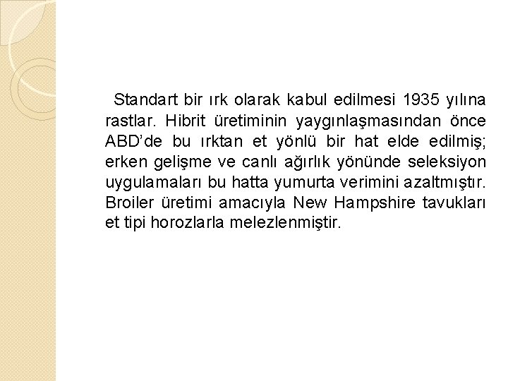 Standart bir ırk olarak kabul edilmesi 1935 yılına rastlar. Hibrit üretiminin yaygınlaşmasından önce ABD’de