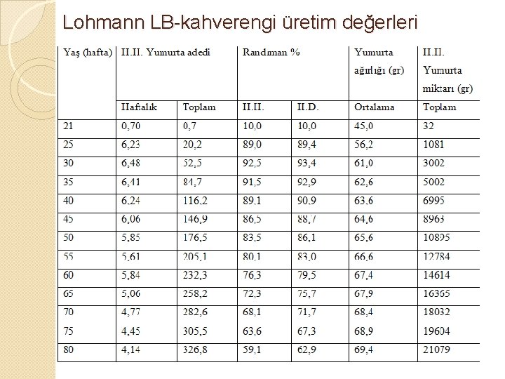 Lohmann LB-kahverengi üretim değerleri 