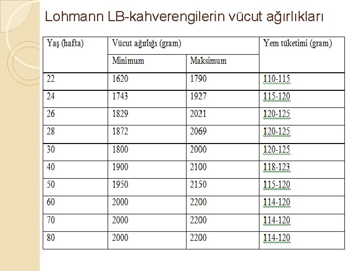Lohmann LB-kahverengilerin vücut ağırlıkları 