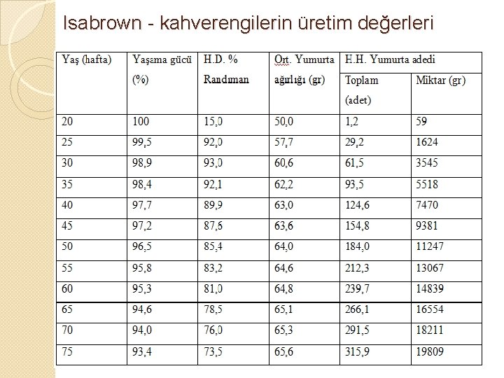 Isabrown - kahverengilerin üretim değerleri 