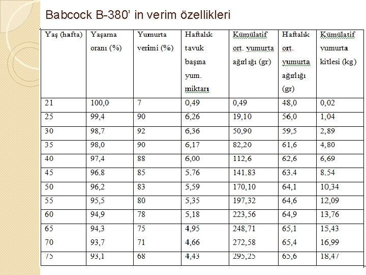 Babcock B-380’ in verim özellikleri 