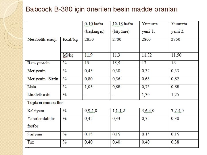 Babcock B-380 için önerilen besin madde oranları 