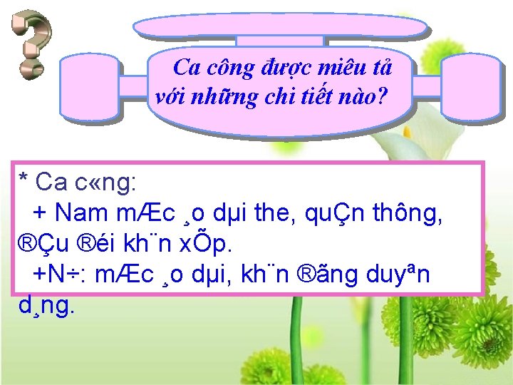 Ca công được miêu tả với những chi tiết nào? * Ca c «ng: