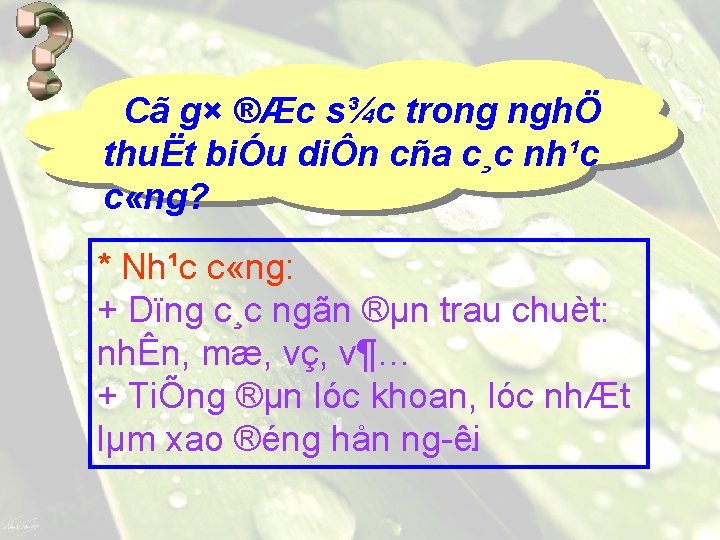 Cã g× ®Æc s¾c trong nghÖ thuËt biÓu diÔn cña c¸c nh¹c c «ng?