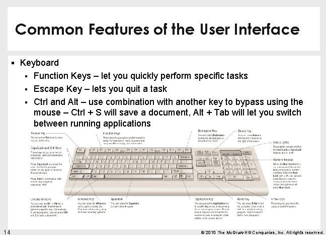 Common Features of the User Interface § Keyboard § § § 14 Function Keys