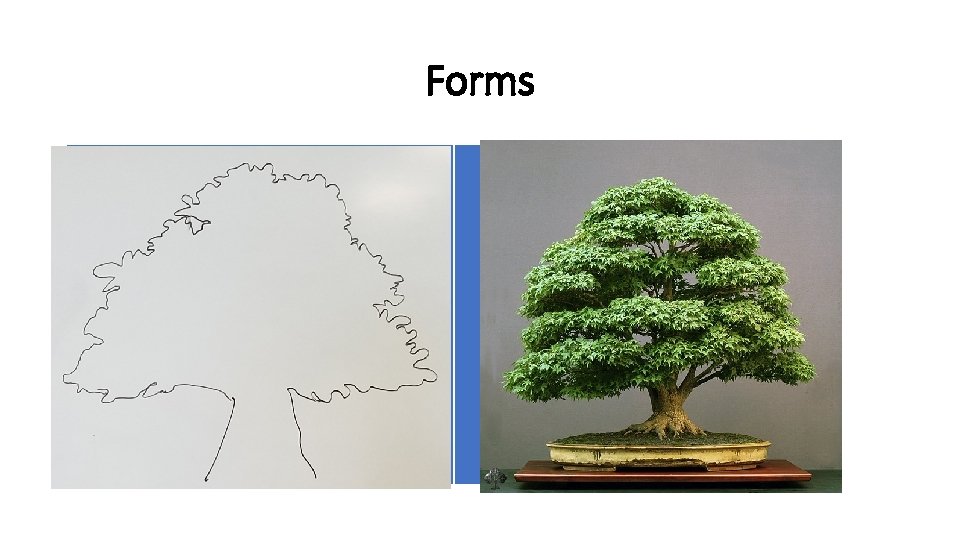 Forms 