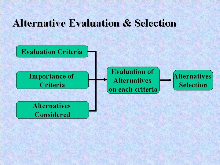 Alternative Evaluation & Selection Evaluation Criteria Importance of Criteria Alternatives Considered Evaluation of Alternatives