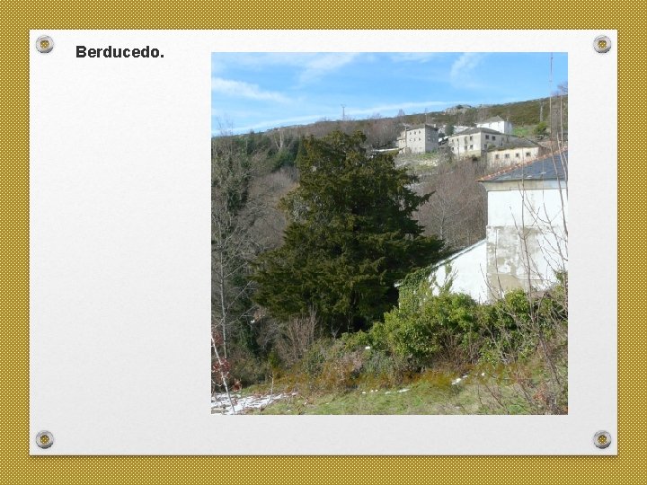 Berducedo. 