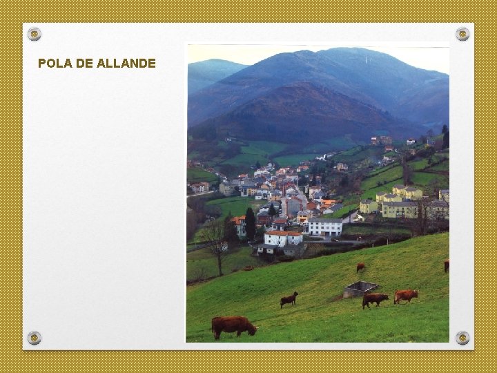 POLA DE ALLANDE 