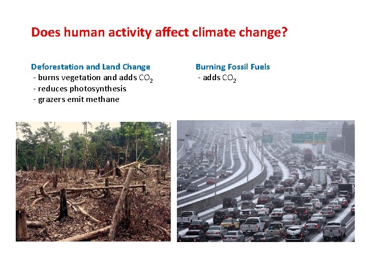 Does human activity affect climate change? Deforestation and Land Change - burns vegetation and