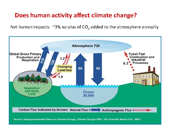 Does human activity affect climate change? Net human impacts: ~3% surplus of CO 2