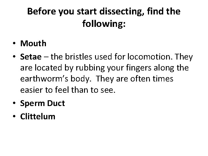 Before you start dissecting, find the following: • Mouth • Setae – the bristles