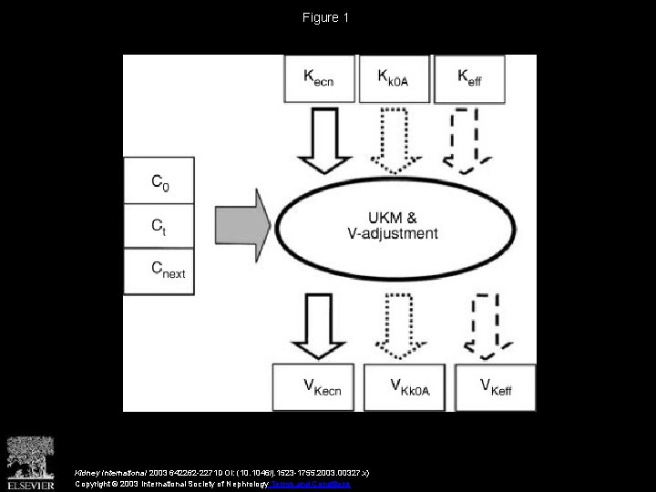 Figure 1 Kidney International 2003 642262 -2271 DOI: (10. 1046/j. 1523 -1755. 2003. 00327.