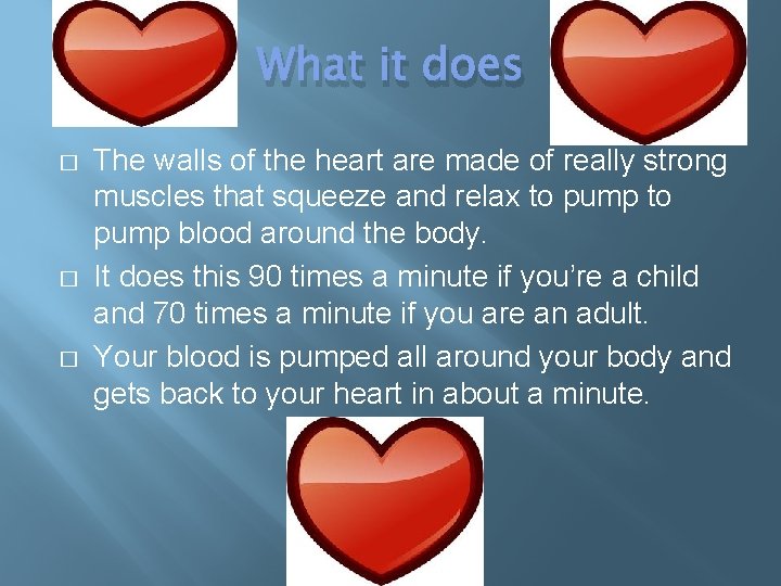 What it does � � � The walls of the heart are made of