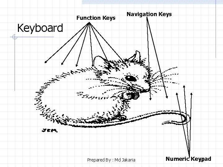 Keyboard Function Keys Navigation Keys Prepared By : Md Jakaria Numeric Keypad 18 