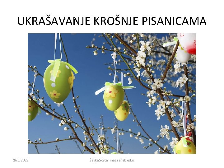 UKRAŠAVANJE KROŠNJE PISANICAMA 26. 1. 2022. Željka Šoštar mag. rehab. educ 