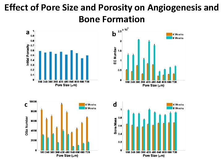 Effect of Pore Size and Porosity on Angiogenesis and Bone Formation a b c