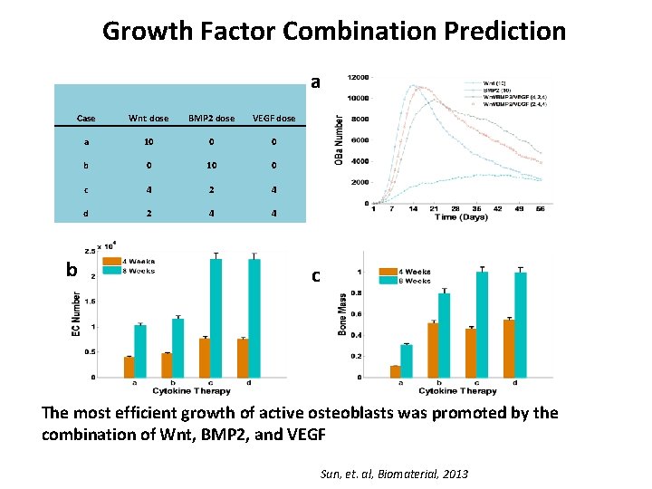 Growth Factor Combination Prediction a Case Wnt dose BMP 2 dose VEGF dose a