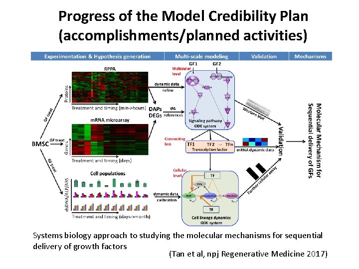 Progress of the Model Credibility Plan (accomplishments/planned activities) Systems biology approach to studying the