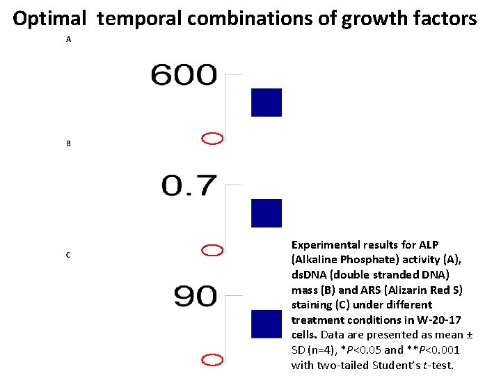 Optimal temporal combinations of growth factors A B C Experimental results for ALP (Alkaline